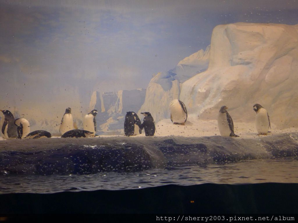 P1060481.JPG P1060481.JPG