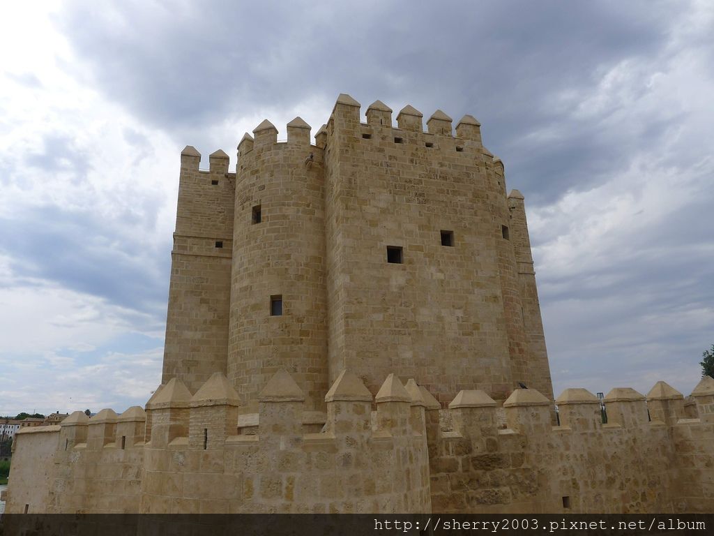 P1160778.JPG P1160778.JPG