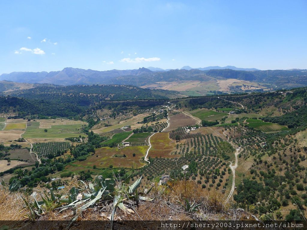 P1170287.JPG P1170287.JPG