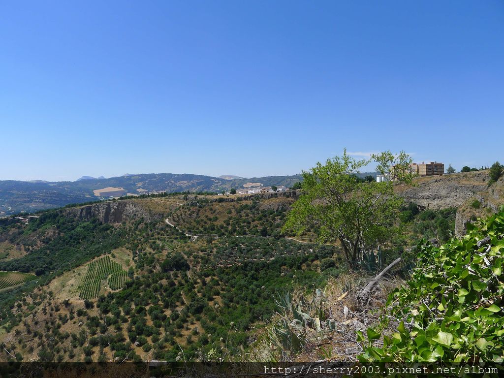 P1170289.JPG P1170289.JPG