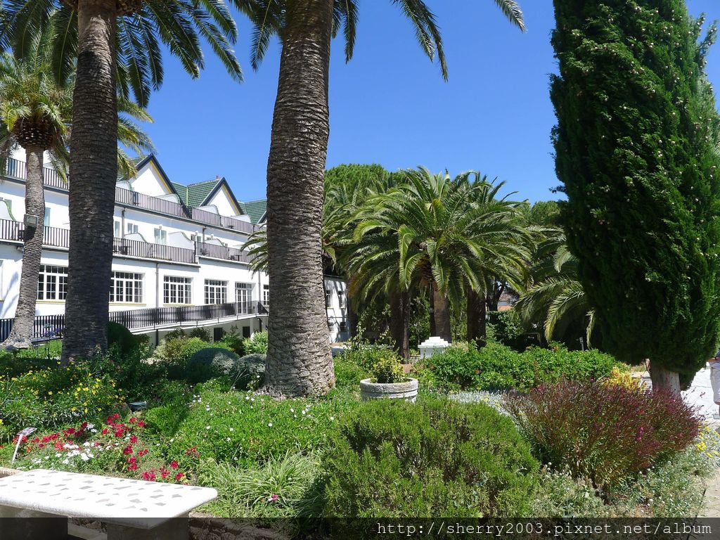 P1170293.JPG P1170293.JPG