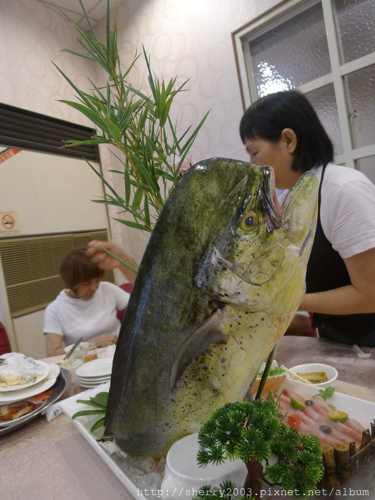 P1190127.JPG P1190127.JPG