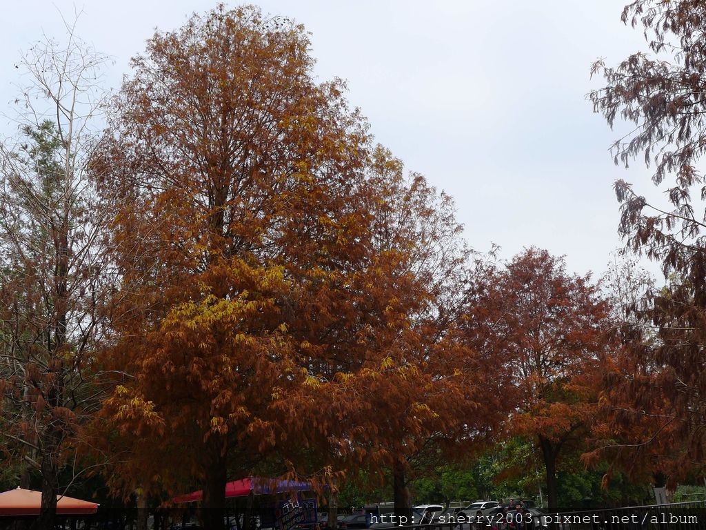 P1240153.JPG P1240153.JPG