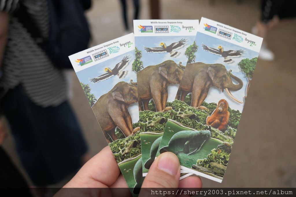 P1070647.JPG P1070647.JPG