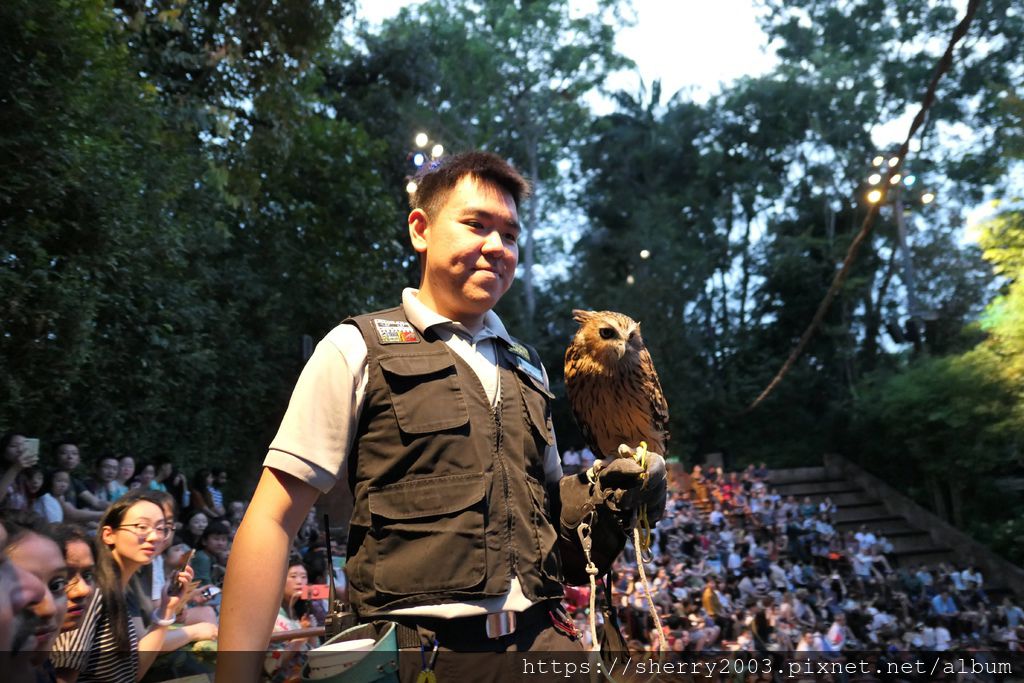 P1070654.JPG P1070654.JPG