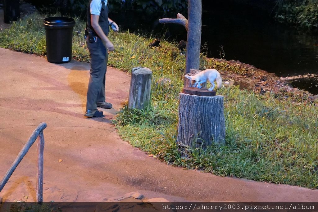 P1070655.JPG P1070655.JPG