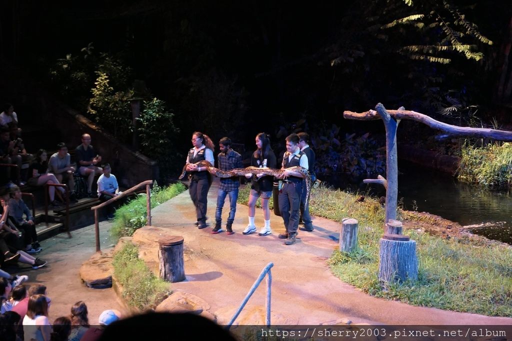 P1070659.JPG P1070659.JPG