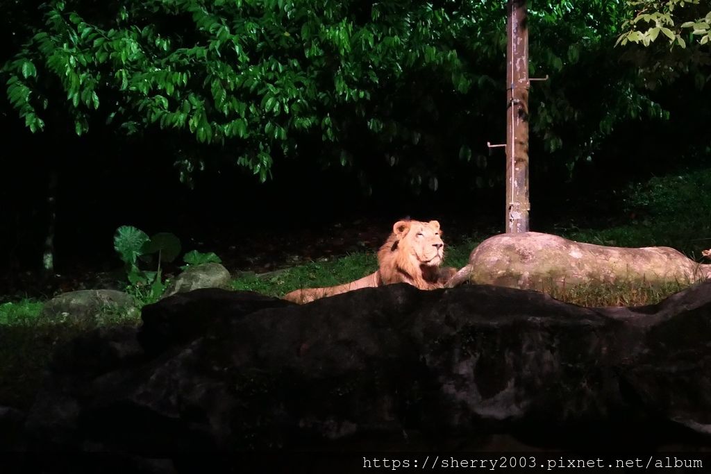 P1070680.JPG P1070680.JPG