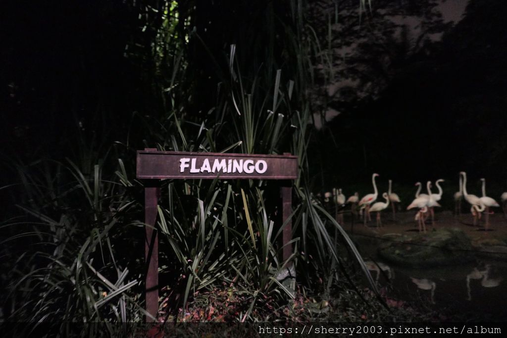 P1070672.JPG P1070672.JPG