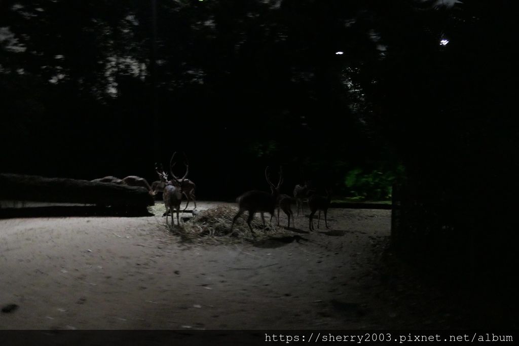 P1070696.JPG P1070696.JPG