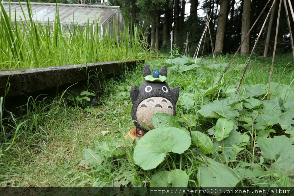 P1080554.JPG P1080554.JPG