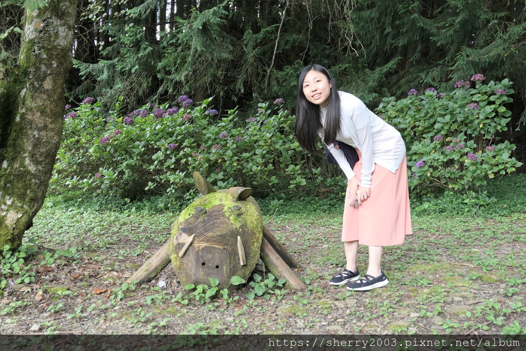 P1080551.JPG P1080551.JPG