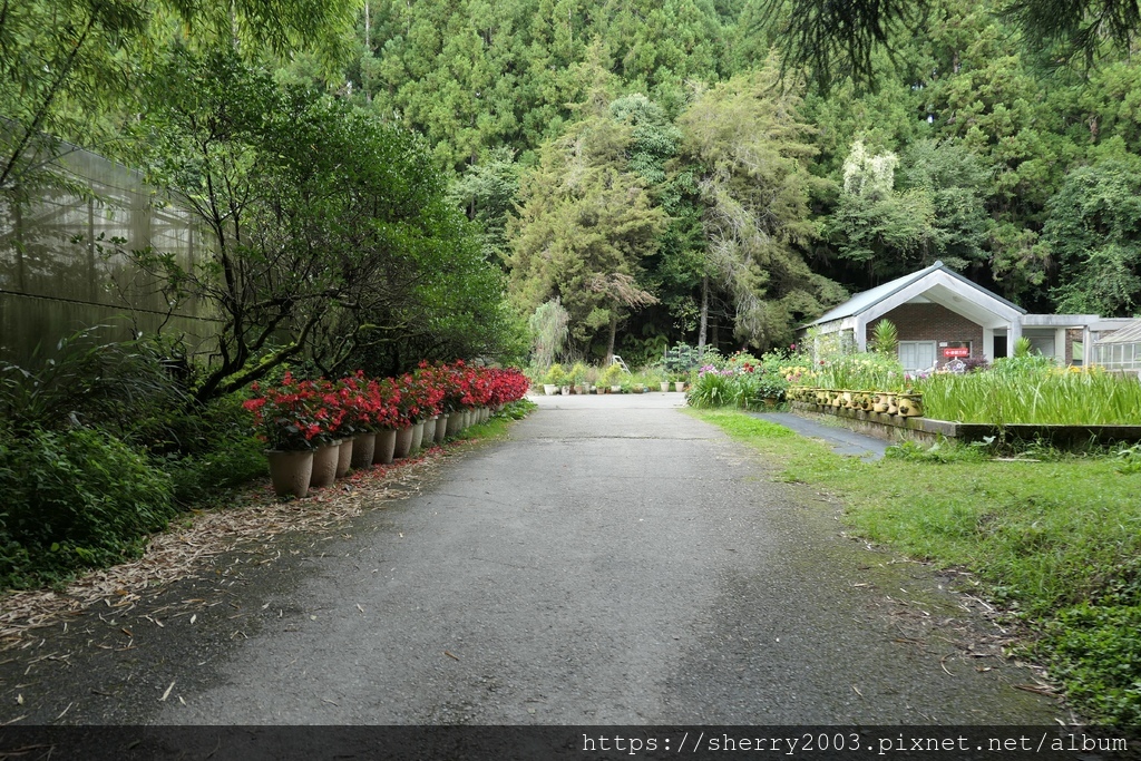 P1080553.JPG P1080553.JPG