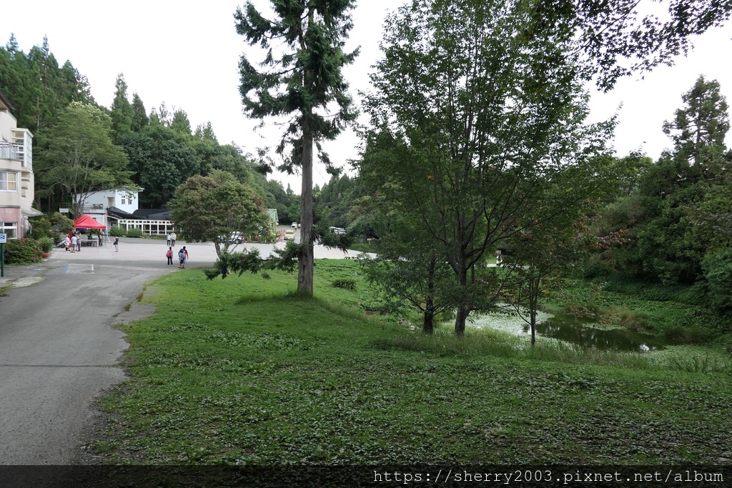 P1080552.JPG P1080552.JPG