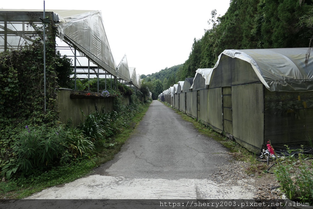 P1080559.JPG P1080559.JPG