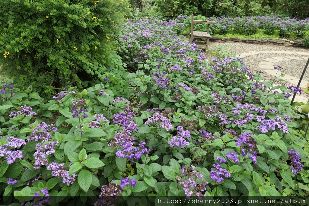 P1080565.JPG P1080565.JPG