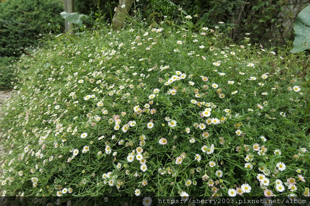 P1080567.JPG P1080567.JPG