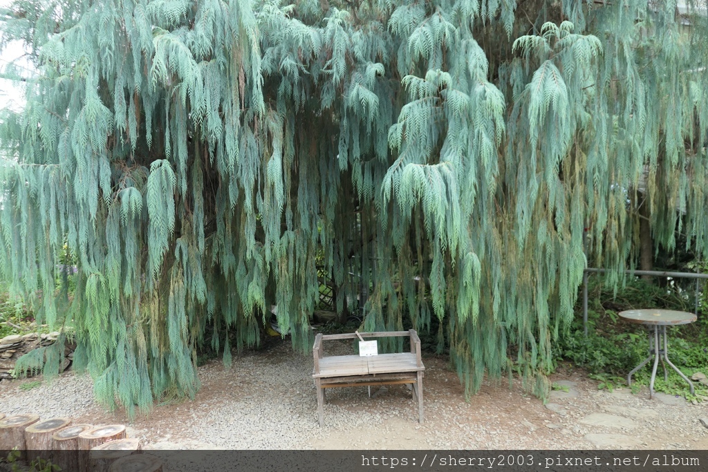 P1080569.JPG P1080569.JPG