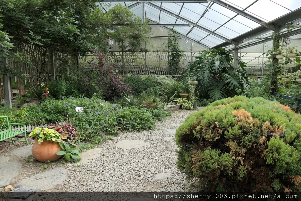 P1080570.JPG P1080570.JPG