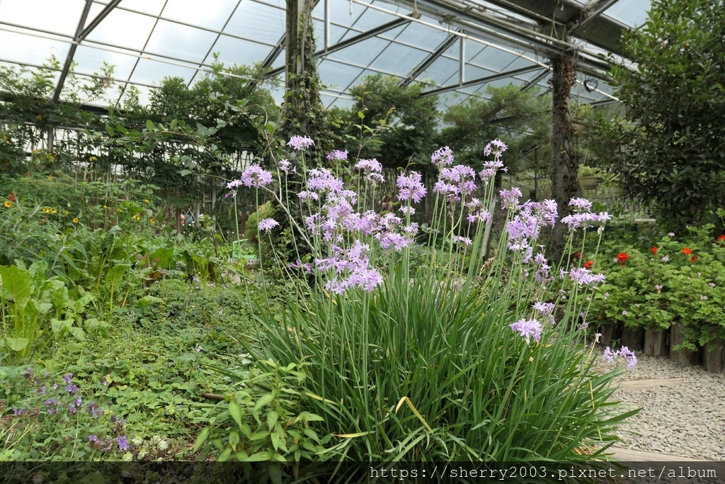 P1080572.JPG P1080572.JPG