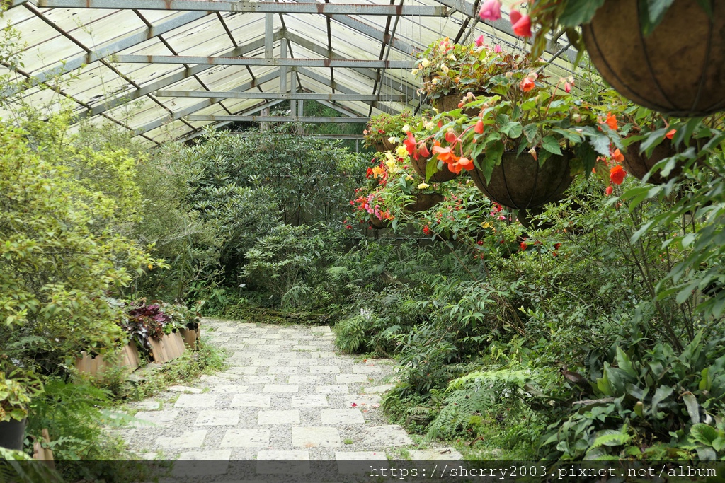 P1080574.JPG P1080574.JPG