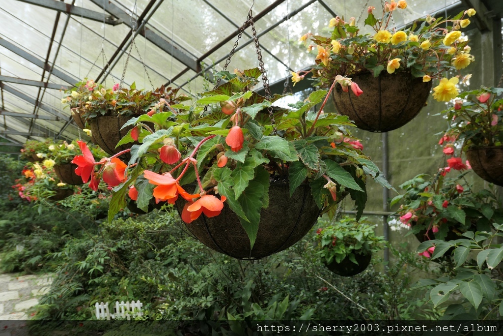 P1080575.JPG P1080575.JPG