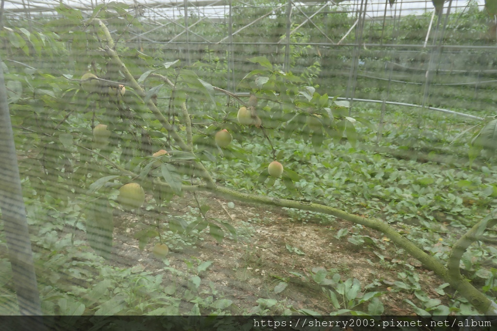 P1080576.JPG P1080576.JPG