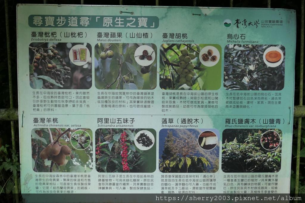 P1080582.JPG P1080582.JPG