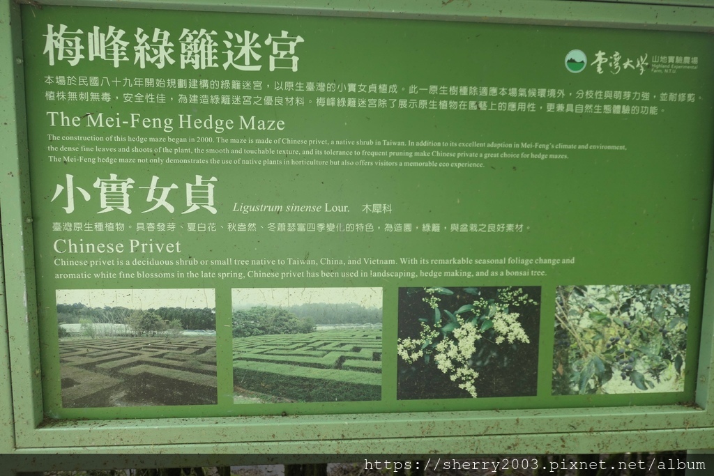 P1080590.JPG P1080590.JPG