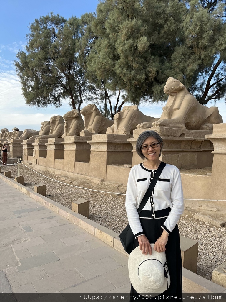 IMG_1159.jpeg IMG_1159.jpeg