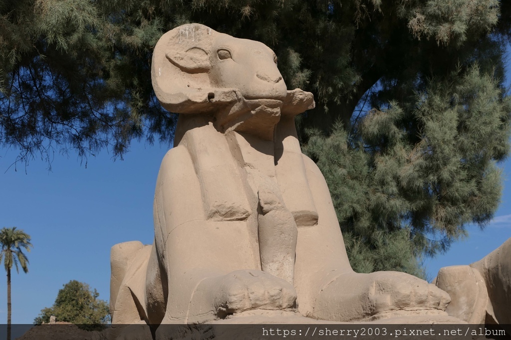 P1079416.JPG P1079416.JPG