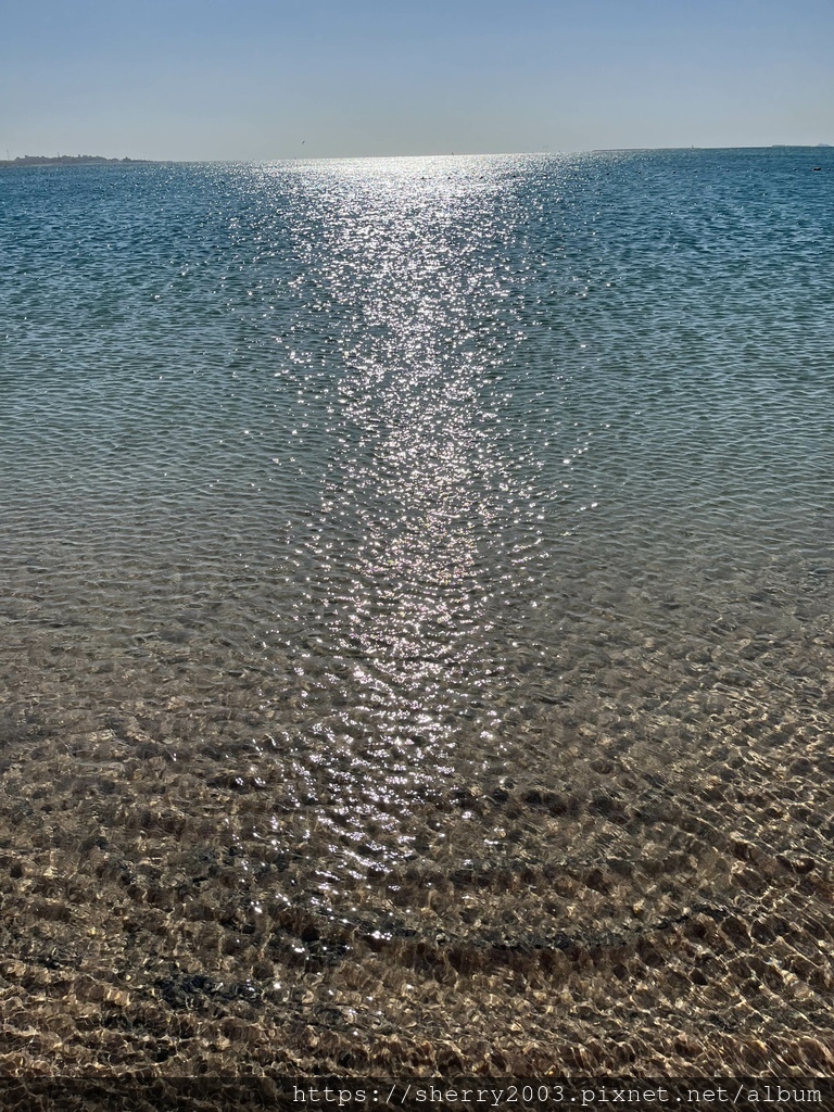 IMG_1271.jpeg IMG_1271.jpeg