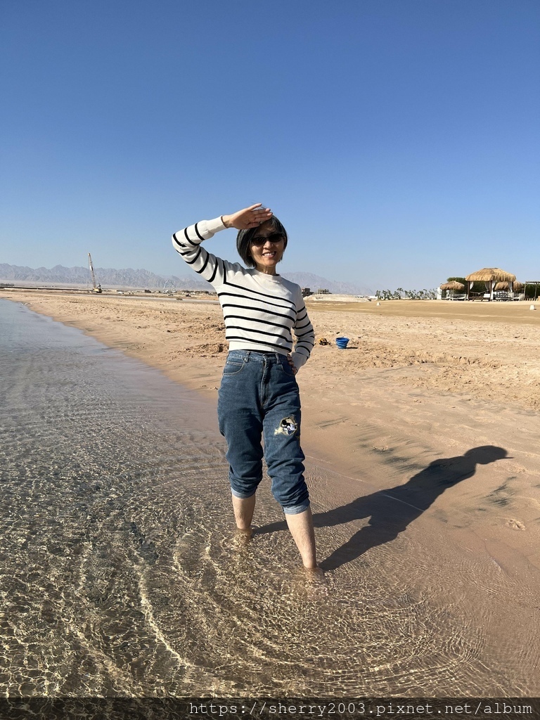 IMG_1282.jpeg IMG_1282.jpeg