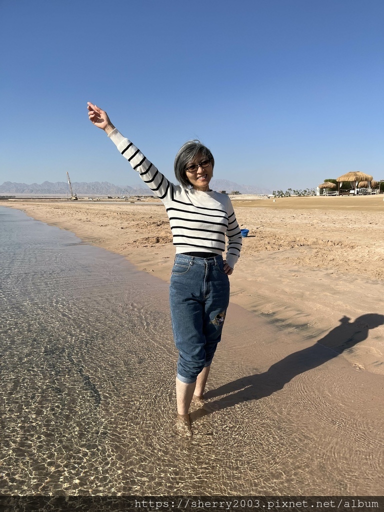 IMG_1284.jpeg IMG_1284.jpeg