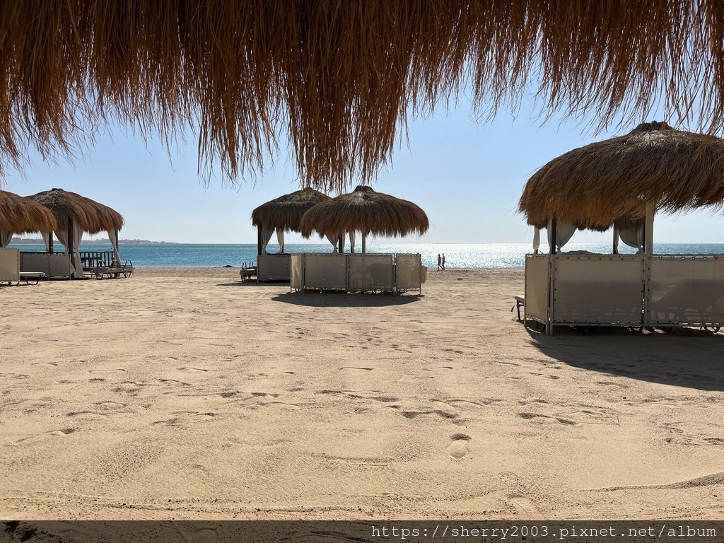 IMG_1288.jpeg IMG_1288.jpeg