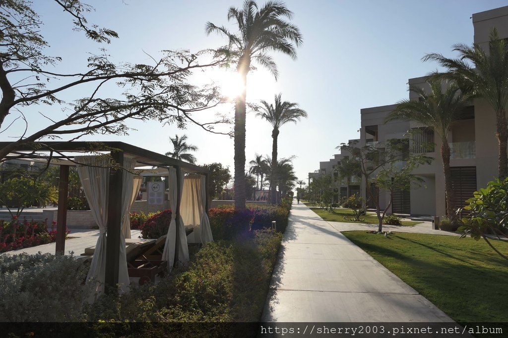 P1079780.JPG P1079780.JPG