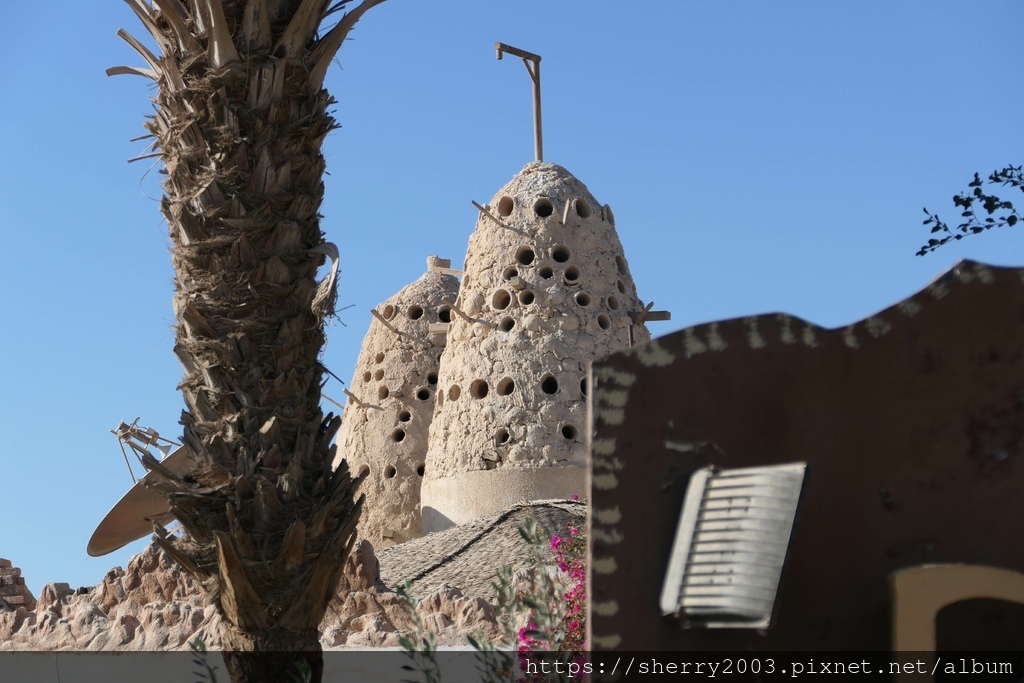 P1079852.JPG P1079852.JPG