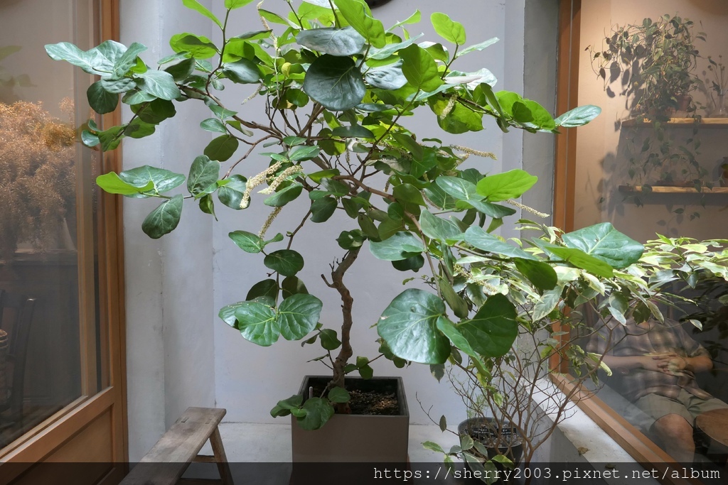 P1080219.JPG P1080219.JPG