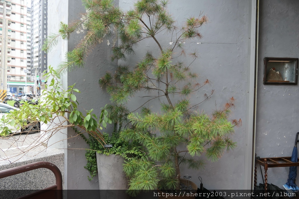 P1080230.JPG P1080230.JPG