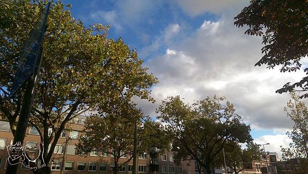 IMAG0200.jpg IMAG0200.jpg