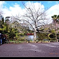 Pukekura park