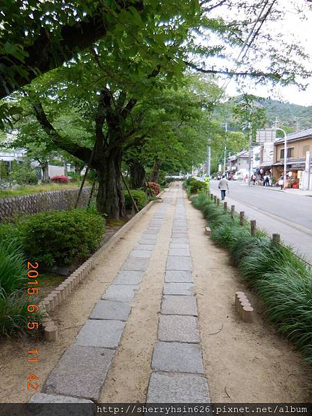 DSCN0209 DSCN0209