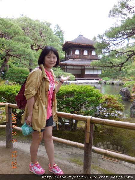 DSCN0254 DSCN0254