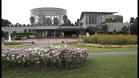 稻毛海濱公園花之美術館8 6 第八日 上 牛哥與虎妹的部落格 痞客邦