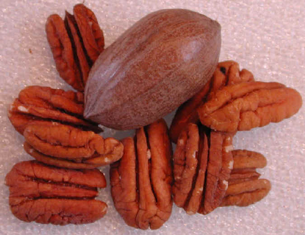 i-pecans.jpg