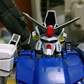 gp0231.jpg