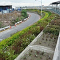 P1160137