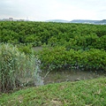 P1160155