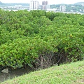 P1160156
