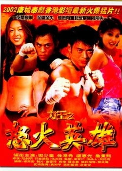 2005力王之怒火英雄(又名鐵拳)